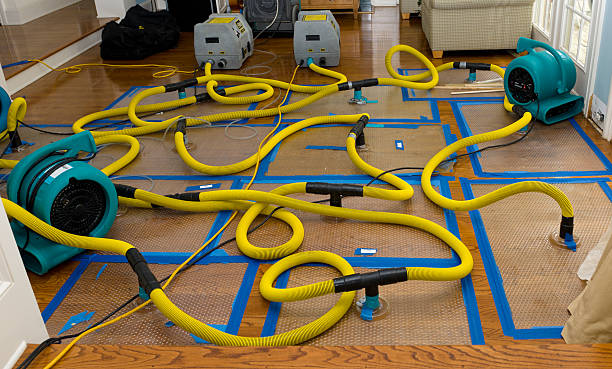 Professional Crawl Space Water Removal technician working in Arapahoe, WY